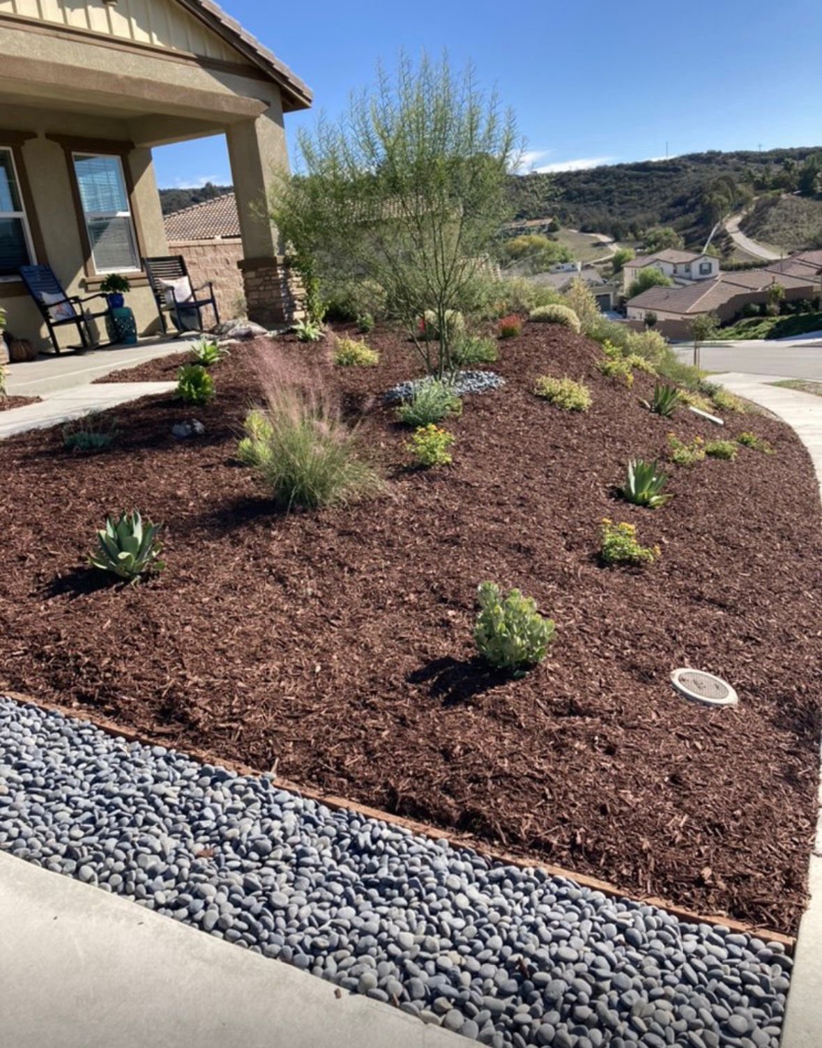 Professional Landscaping